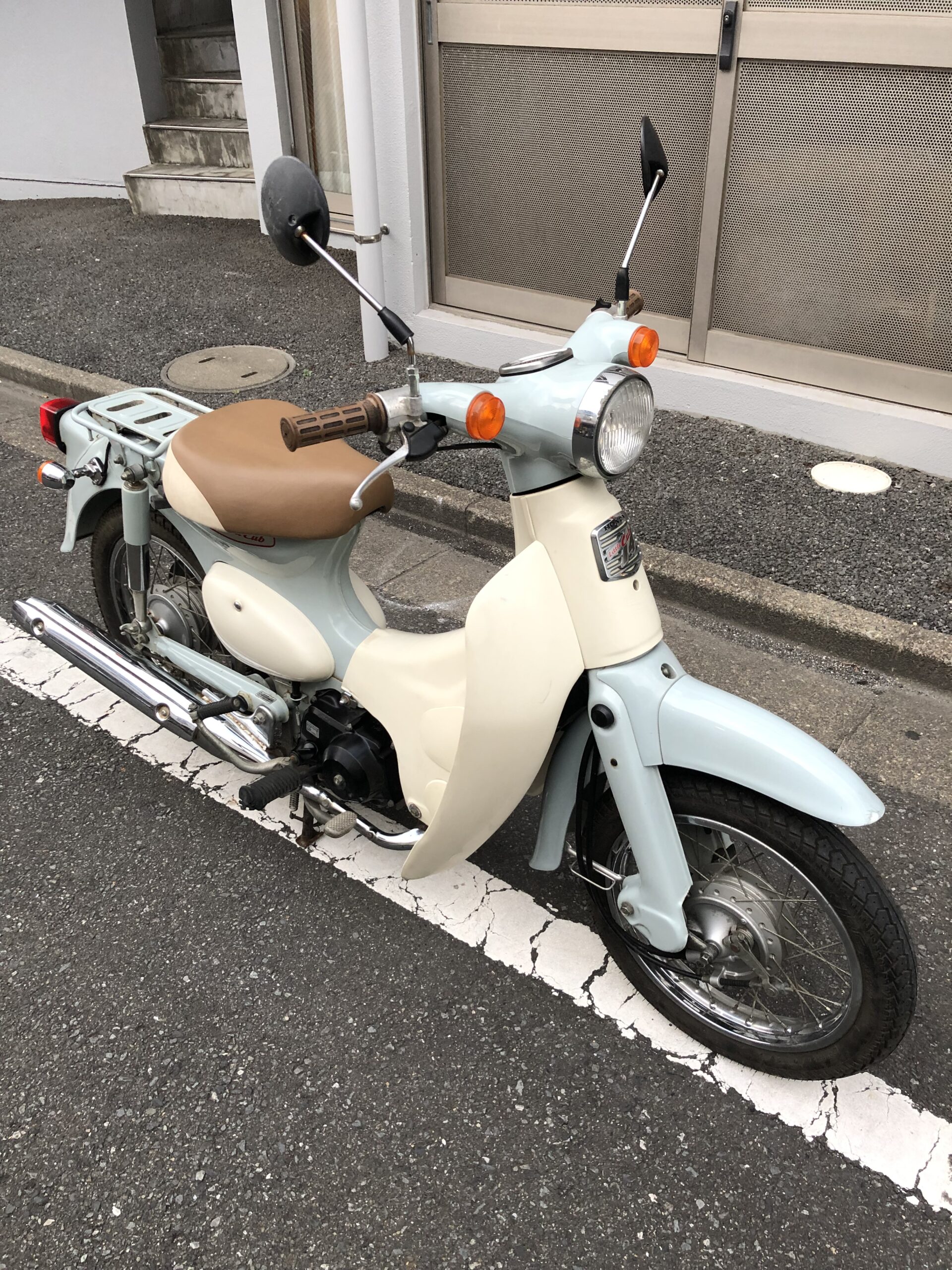 リトルカブ50